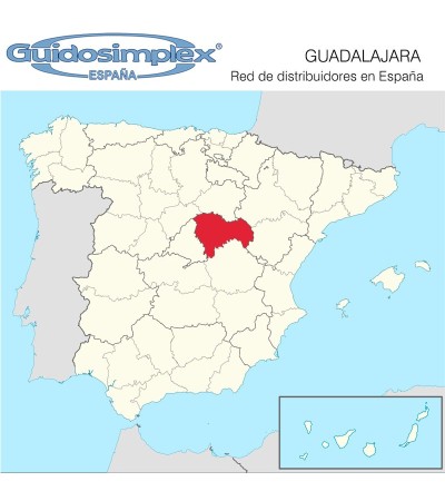 REPLICAUTO  ( Guadalajara)