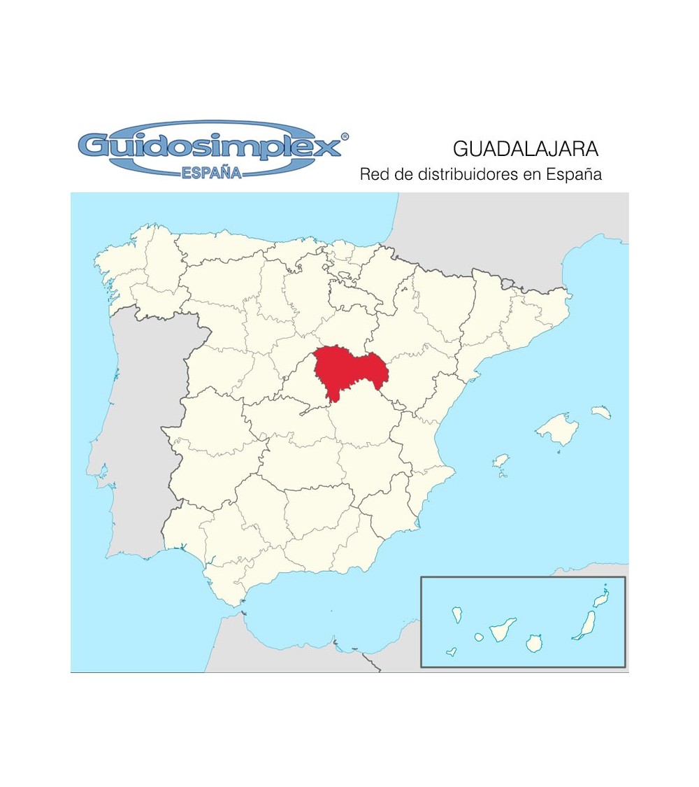 REPLICAUTO  ( Guadalajara)