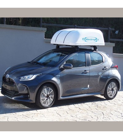 GRÚA DE ELEVACIÓN ALMACENA SILLA DE RUEDA PLEGABLE EN COFRE SOBRE TECHO DE COCHE